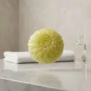shea_butter.webp