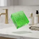 aloe.webp